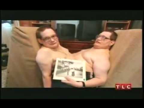 Братья Гэлион